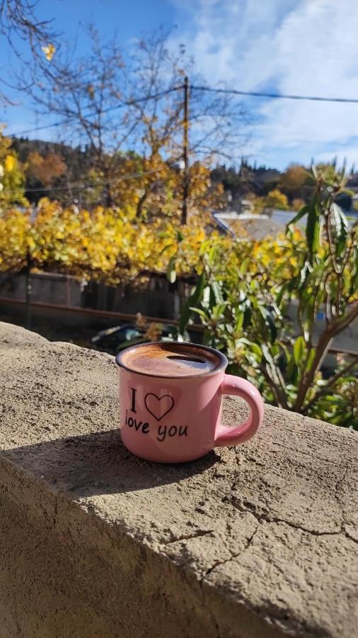 Tbilisi Guesthouse Nini Kültér fotó