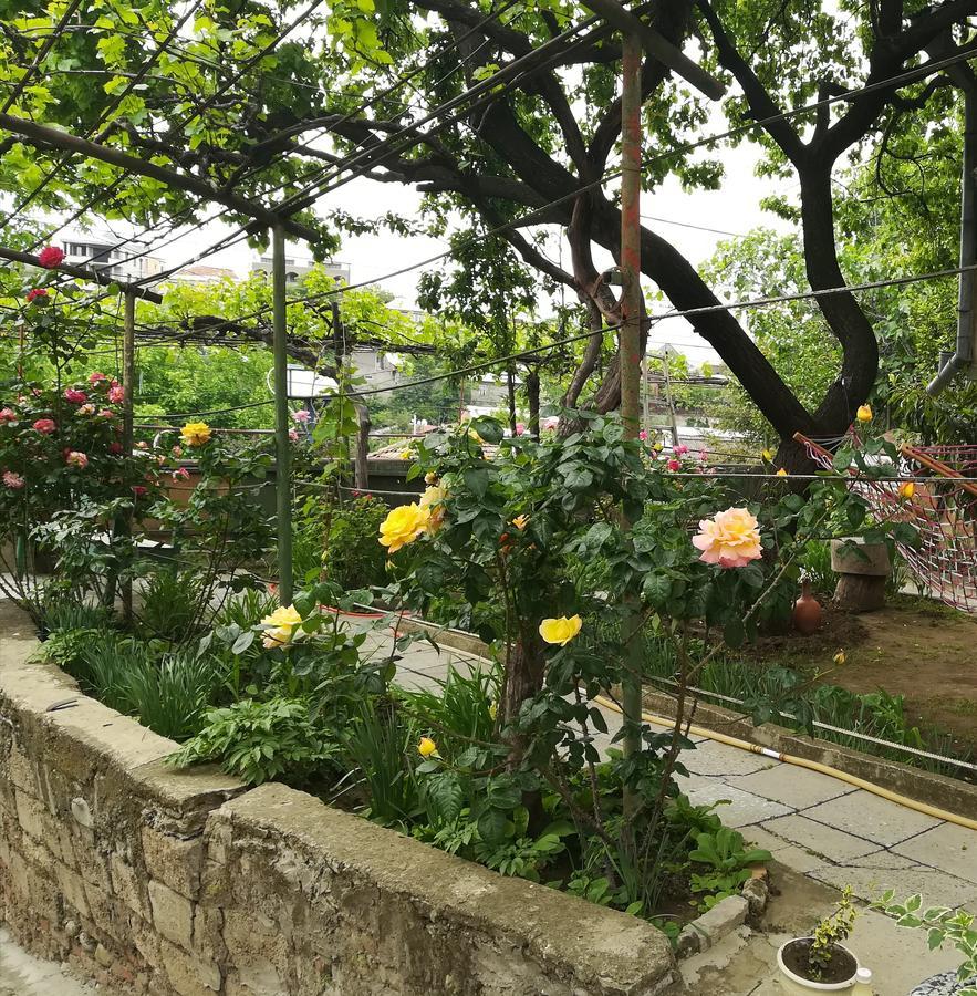 Tbilisi Guesthouse Nini Kültér fotó